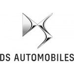 Cheapest DS Diamond Car Mats